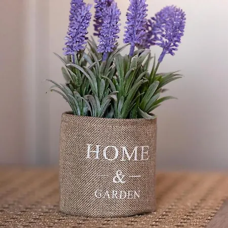 Apartment Panorama *