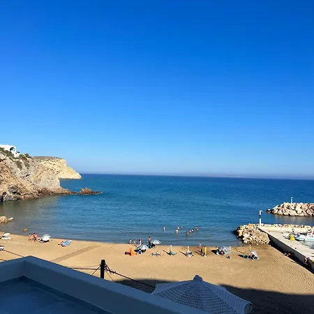 Panorama *